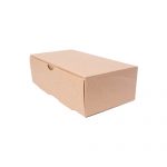 Caja Delivery Multiuso 2400cc - 200 u